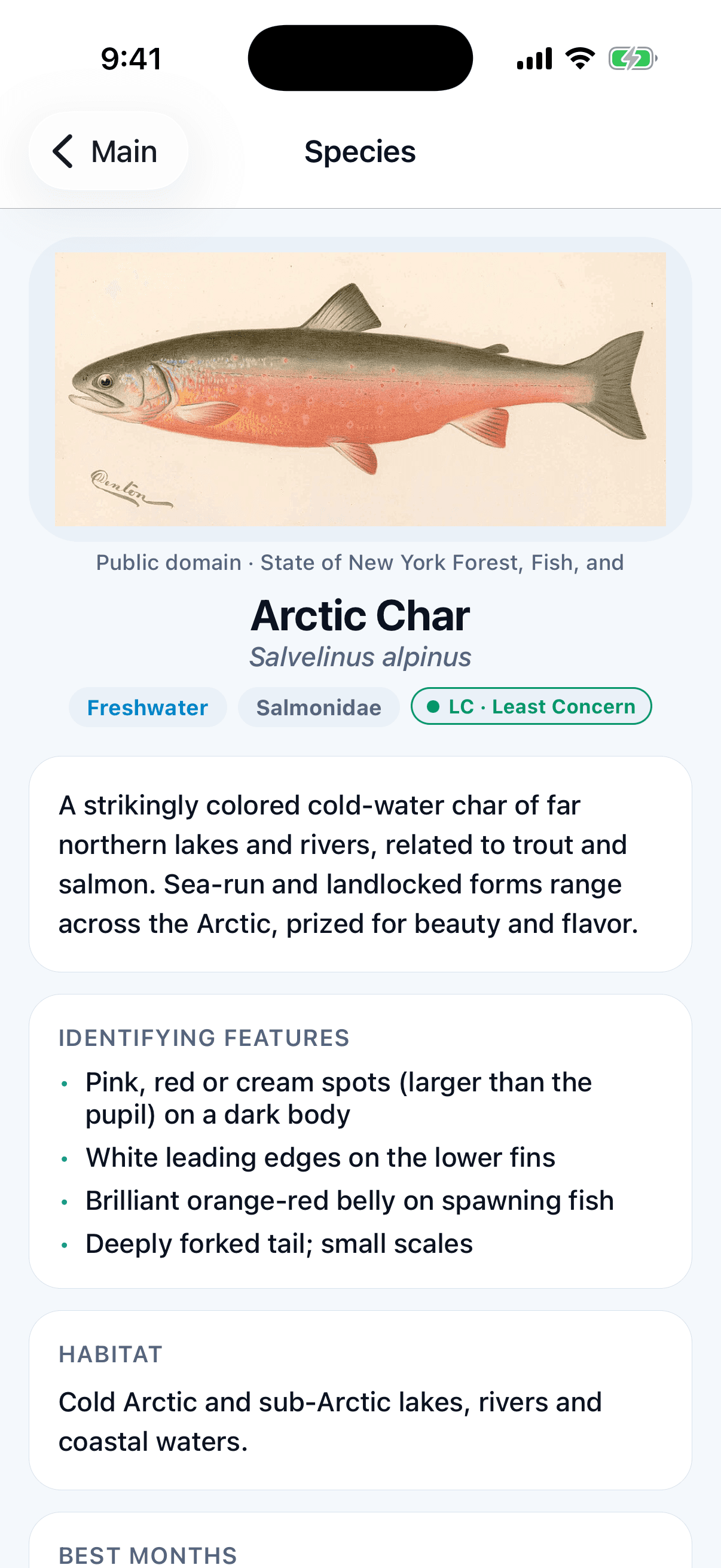 Species detail page
